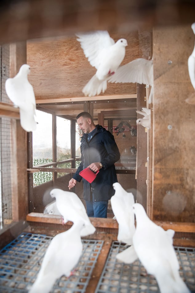 215 - Bekri Uka - Taubenzüchter-13