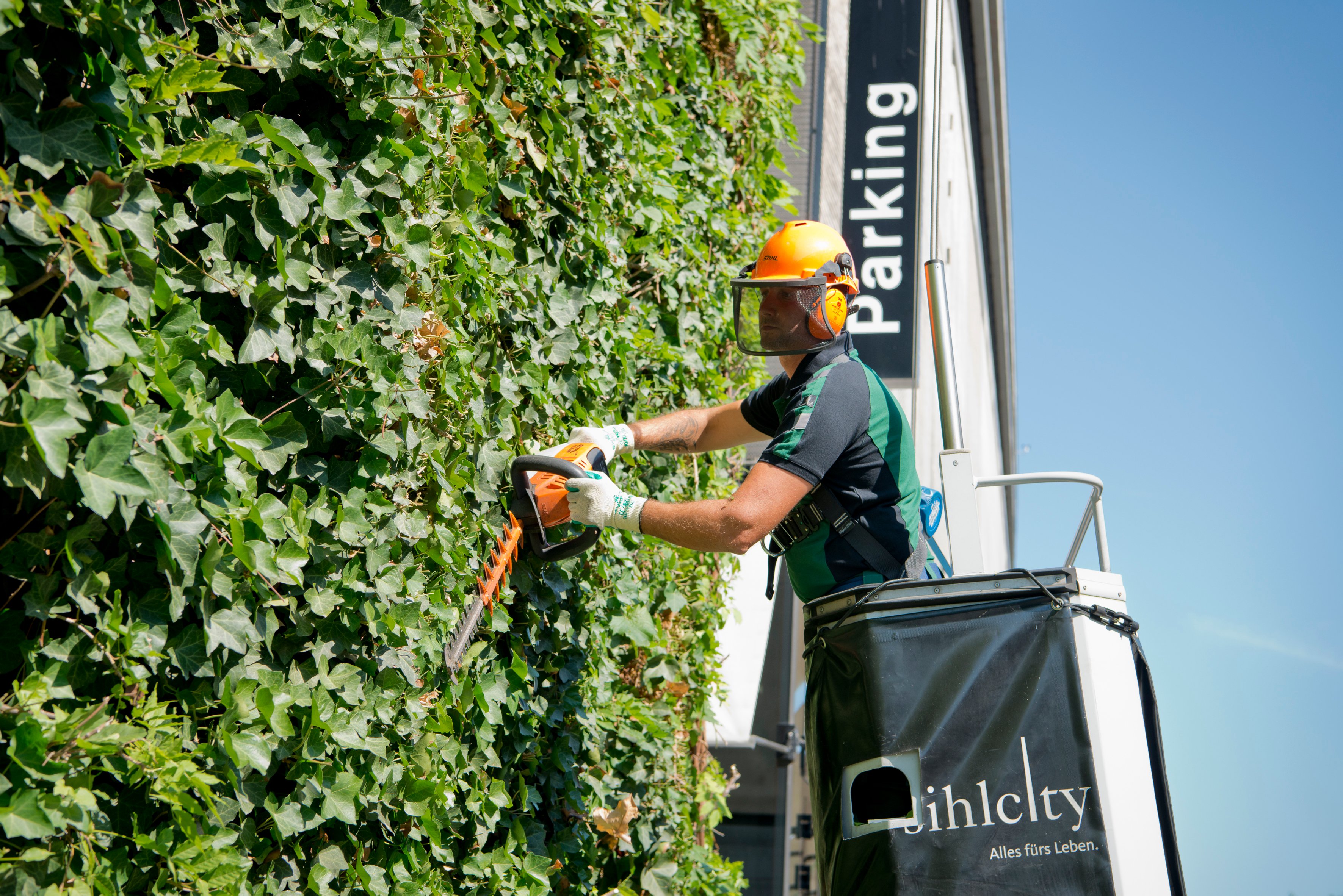 CH_2018_Landscaping_012-0298 1