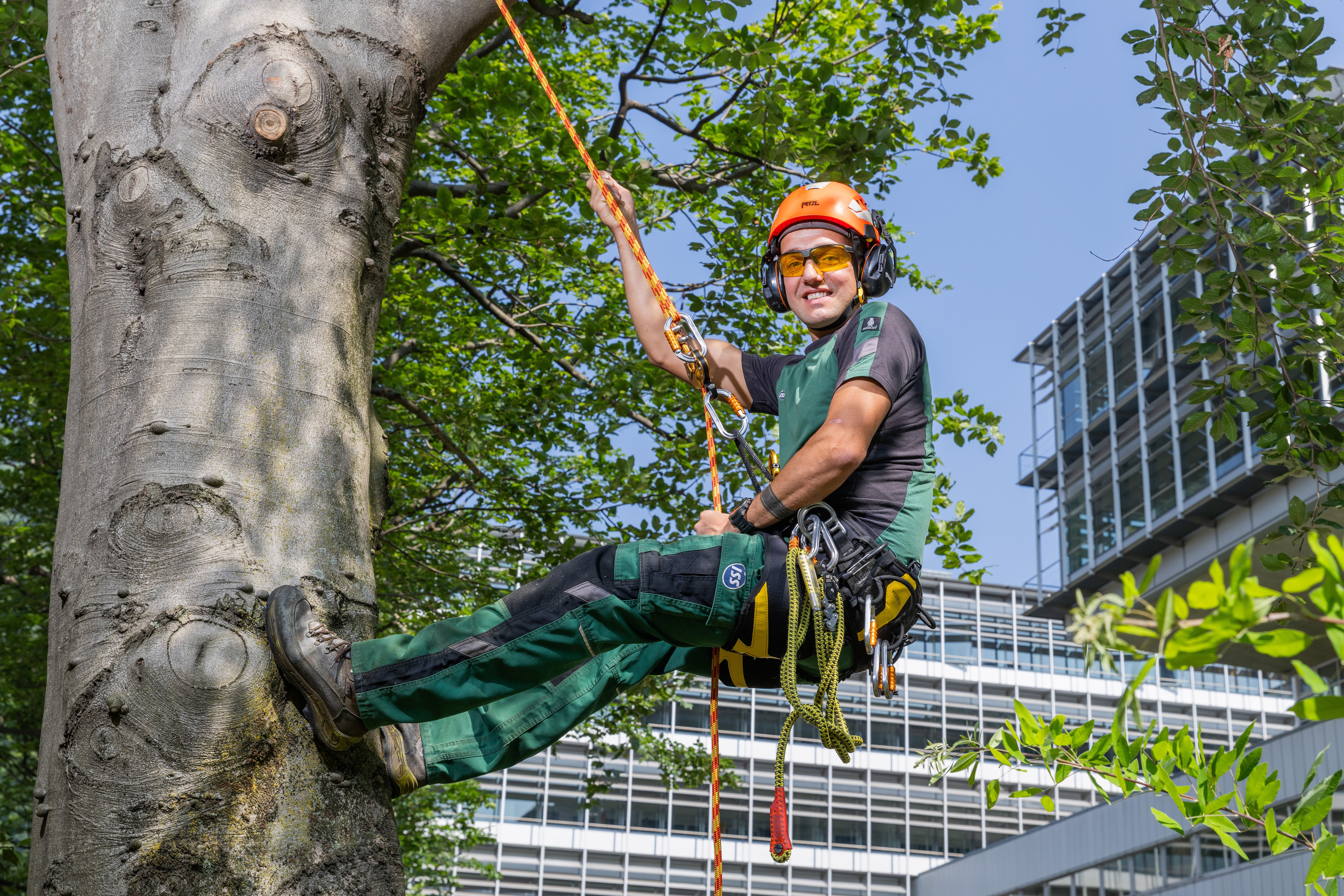 CH_2025_ISS_Services_Green_Ticino_2