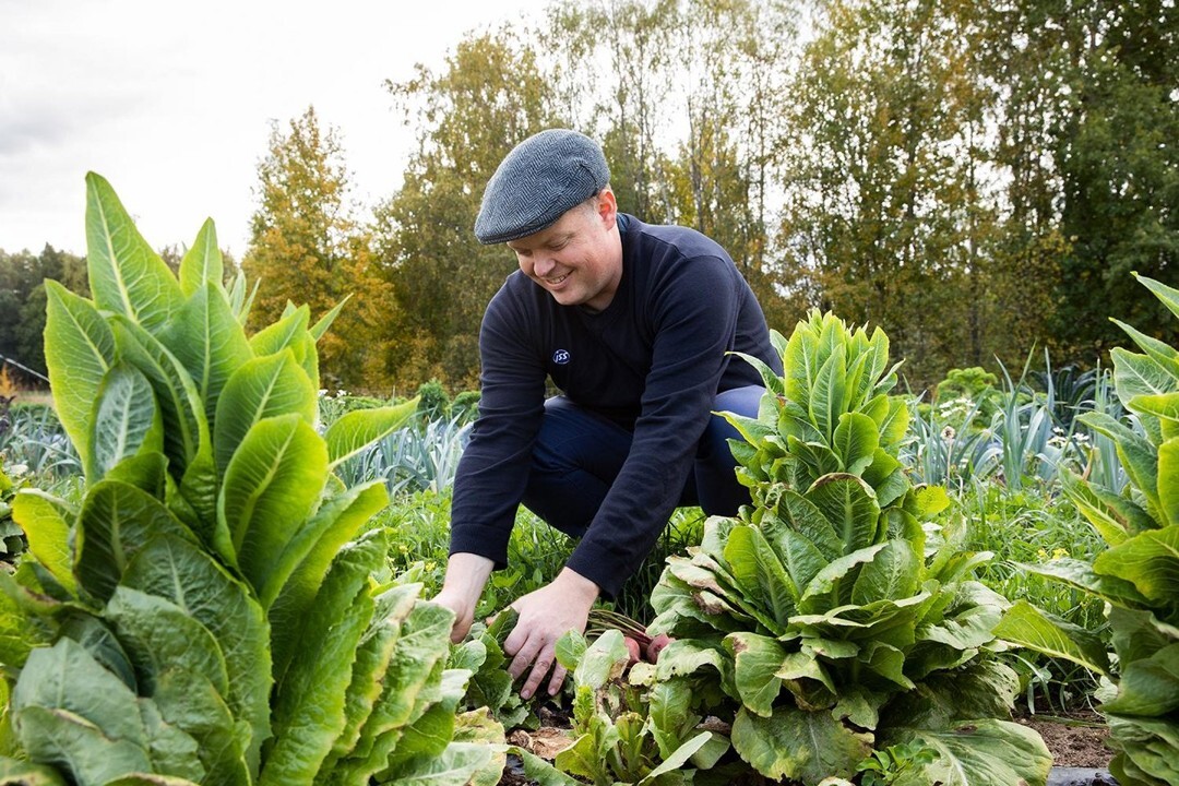 Green city farm